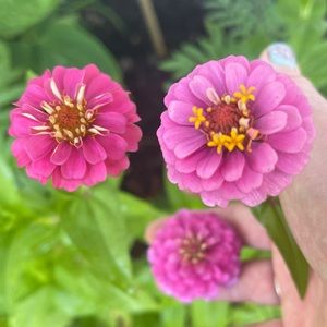 Meet your Posher, Symantha